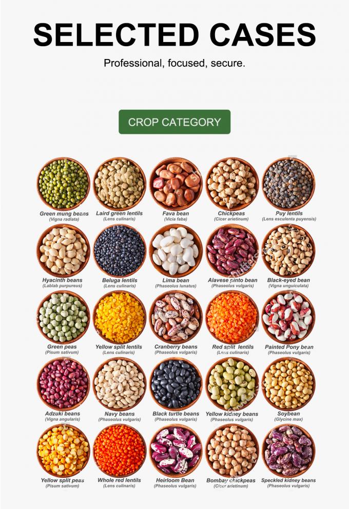 WENYAO Υψηλής Ταχύτητας Ταξινόμηση Ρυθμιζόμενες Παράμετροι για Γραμμές Ταξινόμησης Σιτηρών Οπτικός Διαλογέας 8