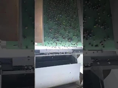 διαλογή χρωμάτων κουνουπιού