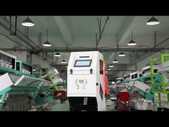 1 Φουντούκι