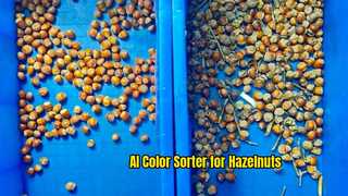 AI Deep Learning Color Sorter για Φουντούκια